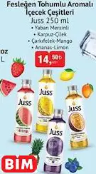 JUSS  FESLEĞEN TOHUMLU AROMALI İÇECEK ÇEŞİTLERİ
